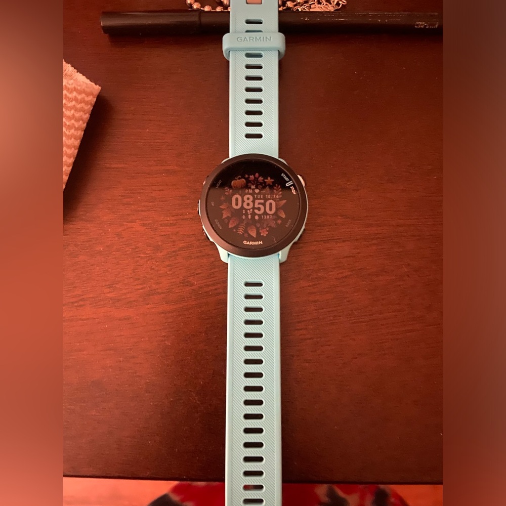 Garmin Forerunner 55, teal